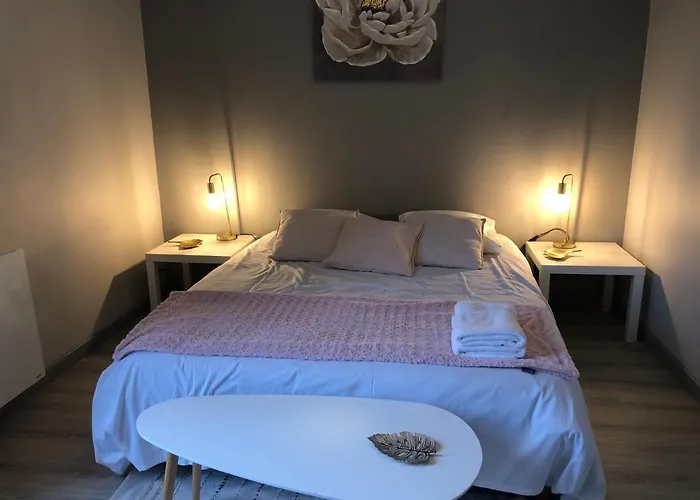 Bel Appartement Spacieux Et Lumineux Hyper Centre Blois