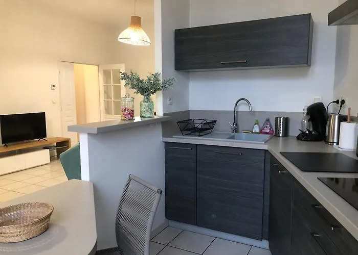 Bel Appartement Spacieux Et Lumineux Hyper Centre Blois