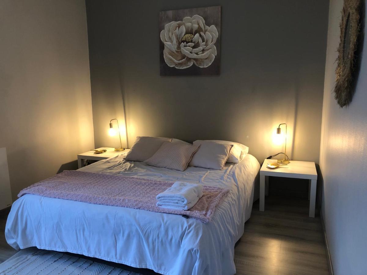 Bel Spacieux Et Lumineux Hyper Centre Apartment